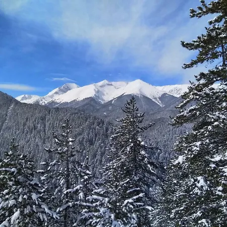 Studio Gondola Lift * Bansko